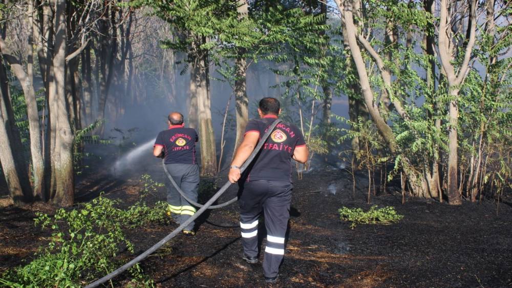 Bursada korkunç cinayet Ailesinden 3 kişiyi tüfekle öldürdü