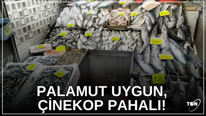 Palamut uygun, çinekop pahalı!