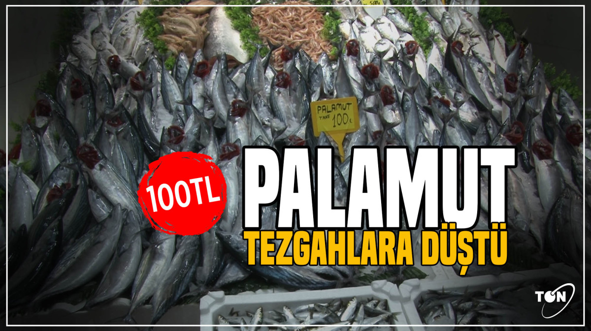 Balıkhali’nde palamut bolluğu