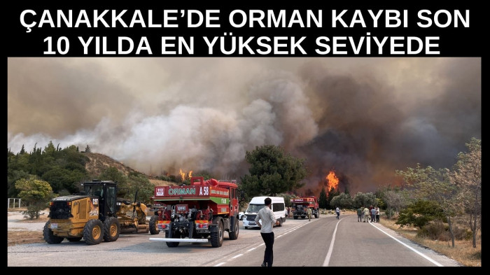 Çanakkale’de orman kaybı endişe verici boyutta