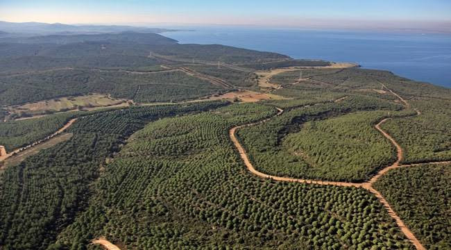 Çanakkale’de ormanlara giriş yasağı uzatıldı 