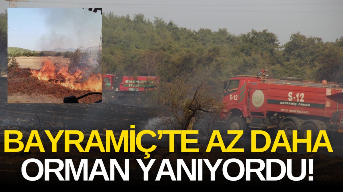 Çanakkale'de tarım arazisinde yangın