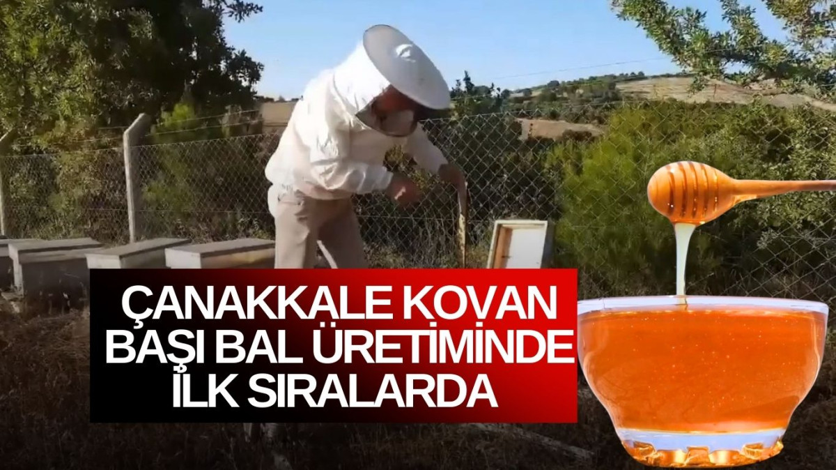 Çanakkaleli arıcılar sezonu verimli geçirdi