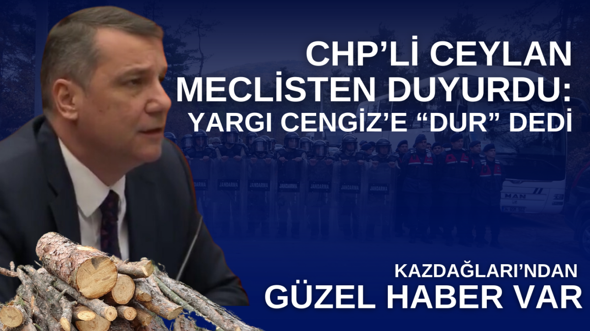 Kazdağları'nda ağaç kesimine yargı durdurma kararı verdi