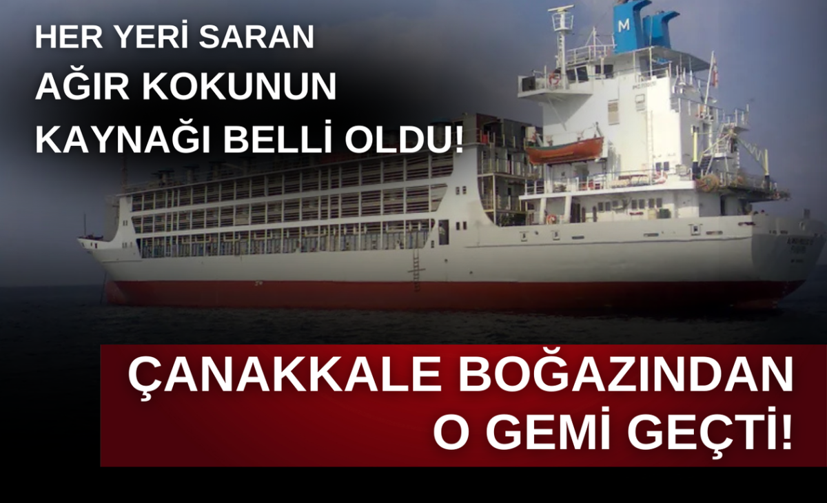 Romanya’dan yola çıktı, Çanakkale Boğazı'ndan geçti!