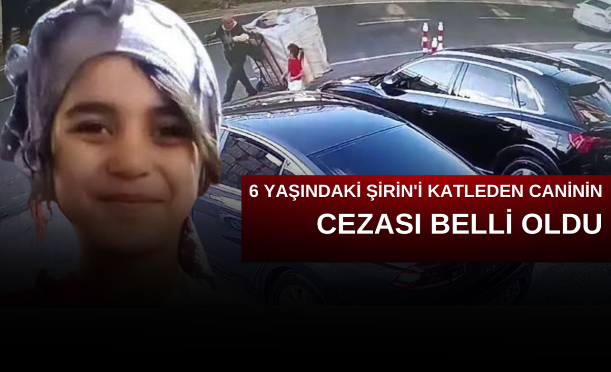 Şirin'in katili hakim karşısına çıktı