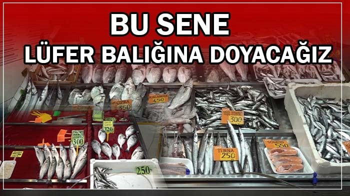 Bu sene lüfer balığına doyacağız