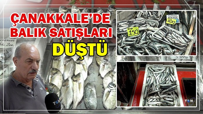 Çanakkale'de balık satışları düştü