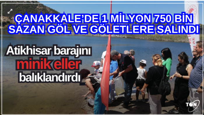 ÇANAKKALE’DE 1 MİLYON 750 BİN SAZAN GÖL VE GÖLETLERE SALINDI