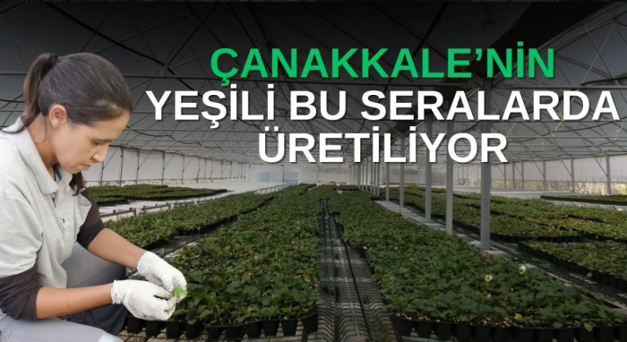 ÇANAKKALE’NİN YEŞİLİ BU SERALARDA ÜRETİLİYOR