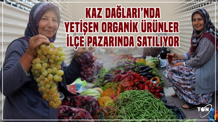  Kaz Dağları’nda yetişen organik ürünler ilçe pazarında satılıyor