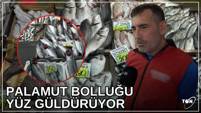  Palamut bolluğu yüz güldürüyor