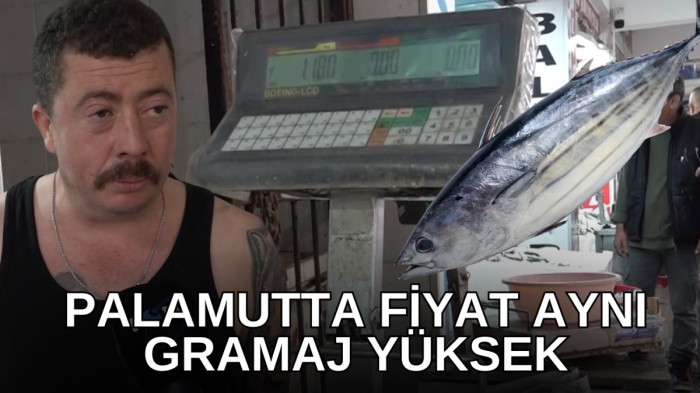 Palamutta fiyat aynı gramaj yüksek