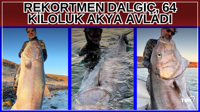 Rekortmen dalgıç, 64 kiloluk akya avladı