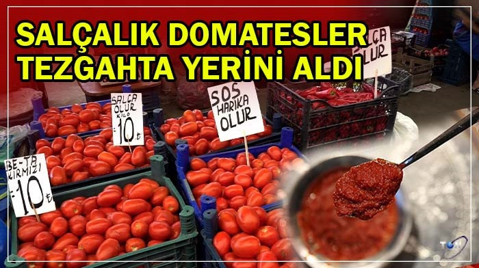  Salçalık domatesler tezgahta yerini aldı