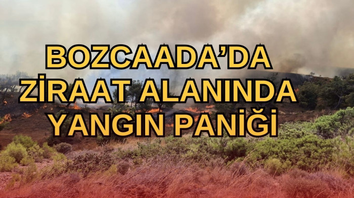 BOZCAADA'DA ZİRAAT ALANINDA YANGIN  